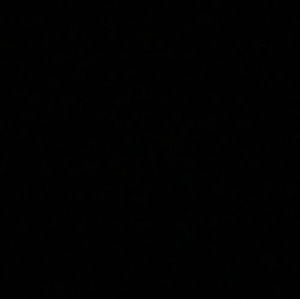 Meet your Posher, Ella